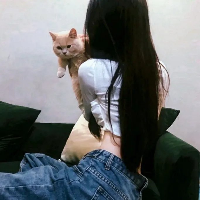 猫物件 电影版